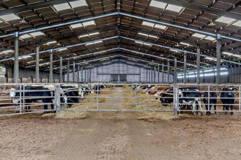 Trewothack Farm